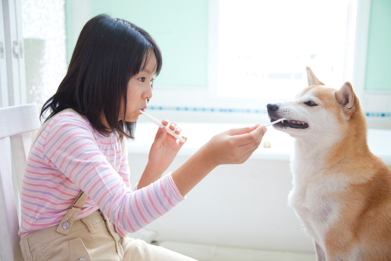 ペットの口内炎や歯石が気になる方は豊田市の のぞみ動物病院