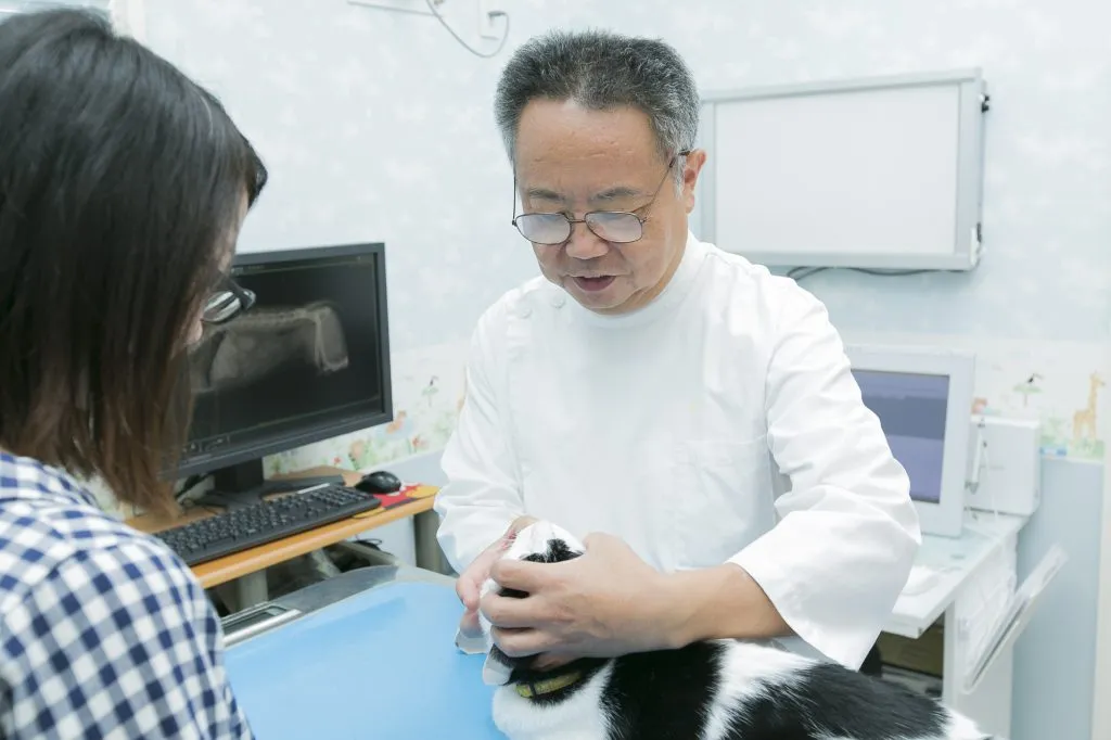 歯科・口腔外科