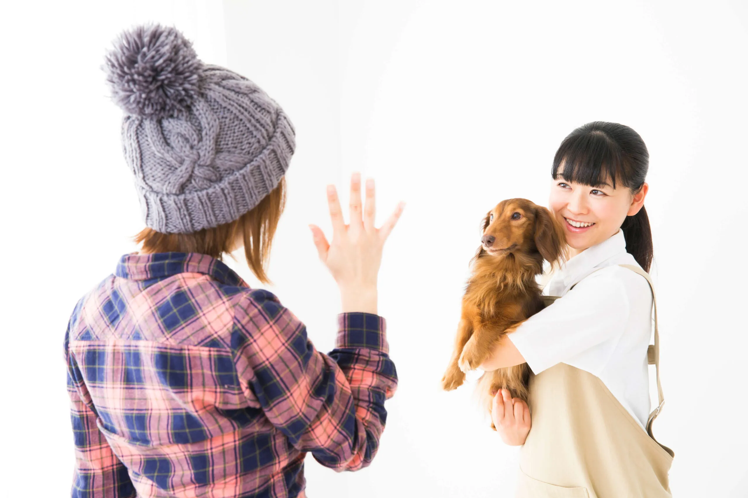 ペットホテル ペットホテル